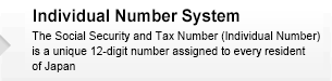 Individyal Number System