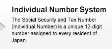 Individyal Number System